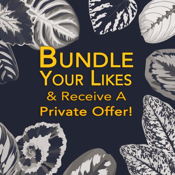 Add 2+ Likes to a Bundle! - Picture 1 of 1